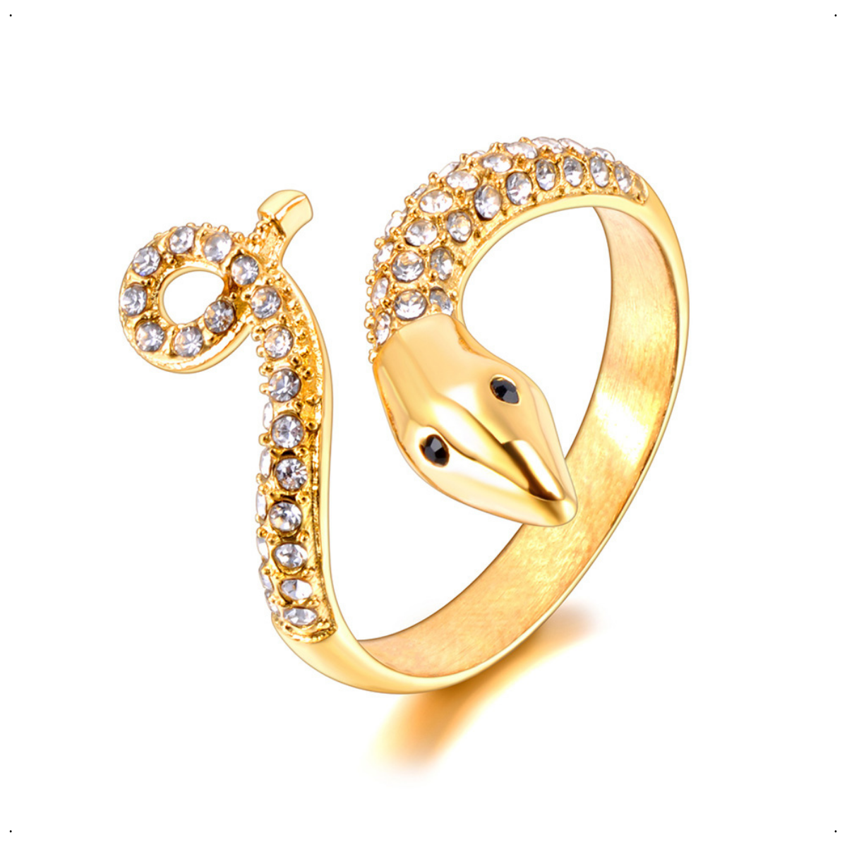 Anillo snake